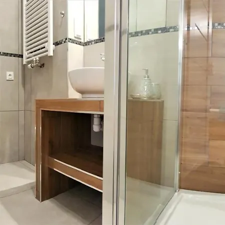 公寓 B&f Business & Family 波兹南